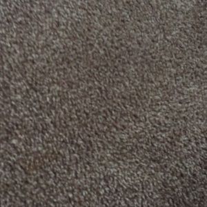 Meet your Posher, Lili